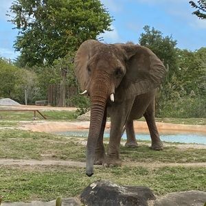 Meet your Posher, Christopher